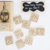 Wooden Door Knocker Play Set