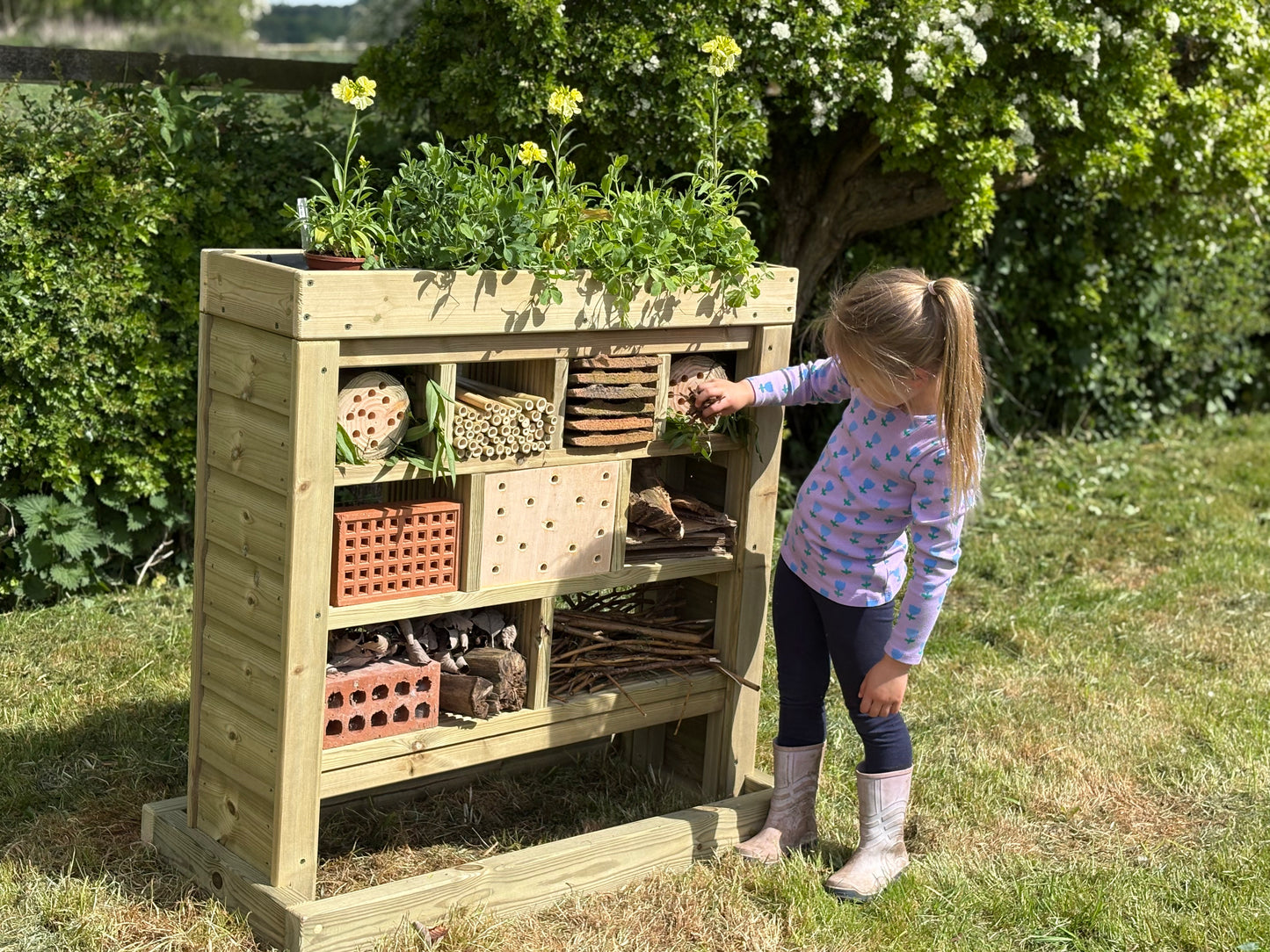 Wooden Bug House