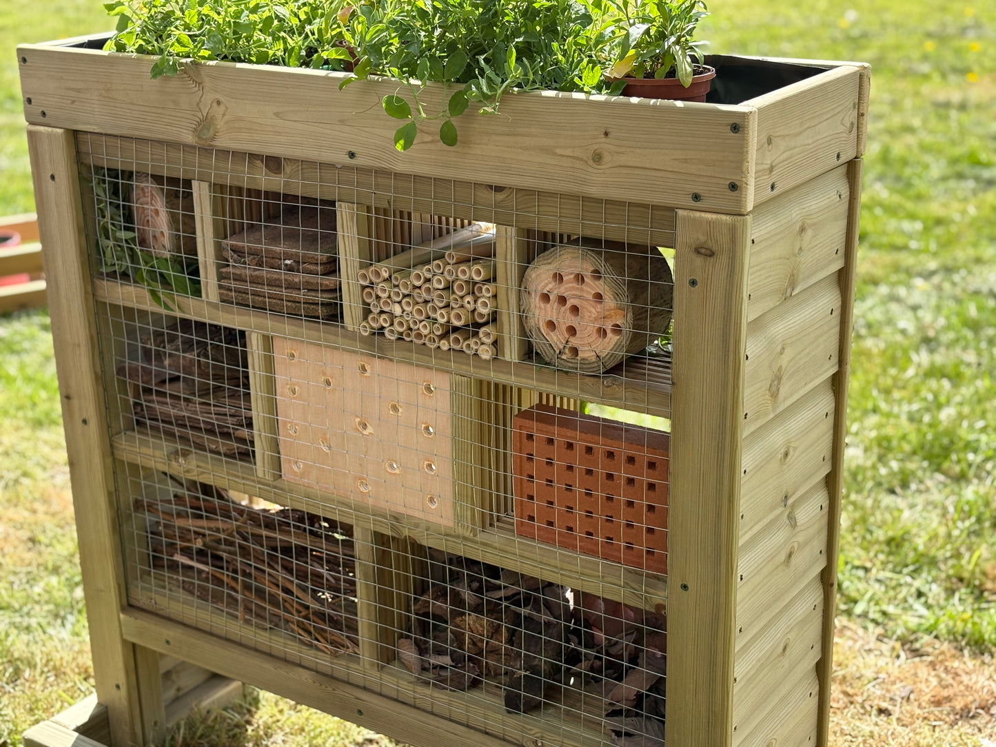 Wooden Bug House